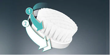 3106082_����3