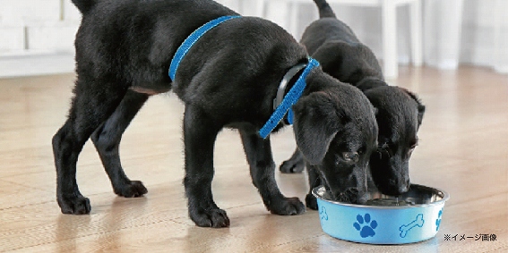 ��ɂ��g���鑽�ړI�t���[�U�[