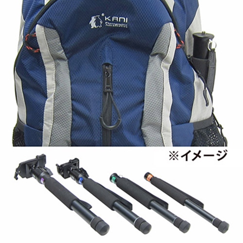 �X�����f�U�C��