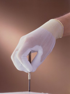 �C���[�W�摜8