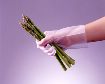 �C���[�W�摜9