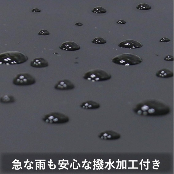 �������ɗD�ꂽ���n���g�p