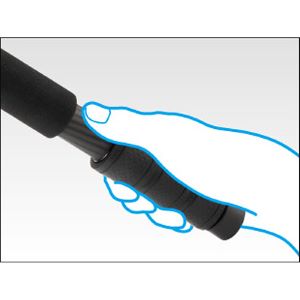 �����쐫�̌���