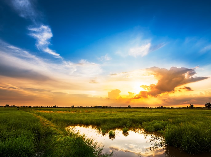 �m���掿�n��荂���ׂȉf�����y���߂�