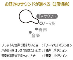 �uTV�T�E���h�܂݁v�𓋍ځI