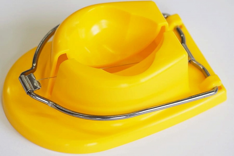 �ʎq���Ԃ�