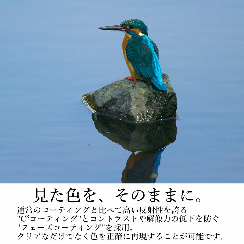 �����F���A���̂܂܂ɁB