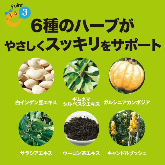 3503865_���e�E�_�C�G�b�g3