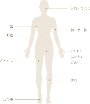 3622878_���G�X�e4