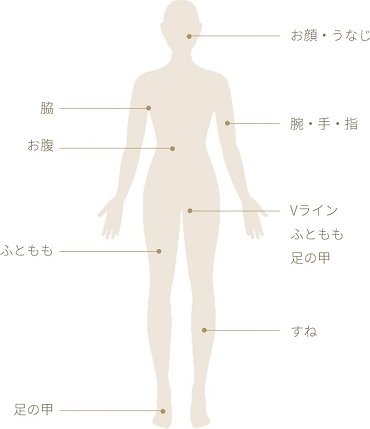 3622879_���G�X�e4