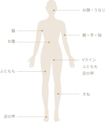 3622881_���G�X�e4