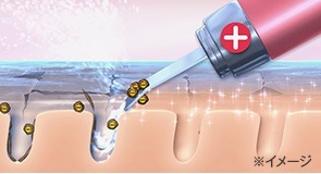 3637206_�����2