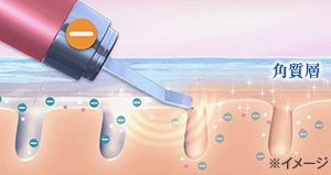 3637206_�����3