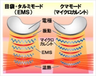 3642231_�ڌ��P�A1