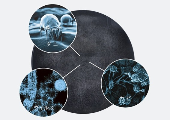 �n�E�X�_�X�g���悭������B �ő呋�̃_�X�g�{�b�N�X�ŃL���C����