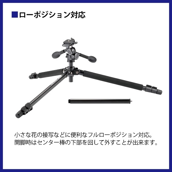 ���[�|�W�V�����Ή�