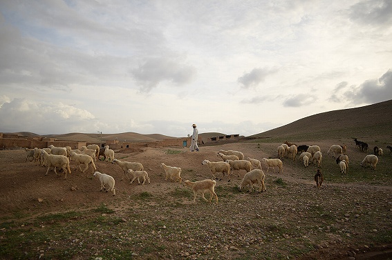 ���͓I�Ȕėp���A�œ_����28mm