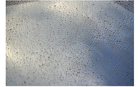 �C�`�l���P�~�J���Y �N�����r���[�K���X�R�[�g�n�C�u���b�h�X�g�����O