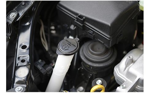 �C�`�l���P�~�J���Y �N�����r���[ �����g���E�H�b�V���[