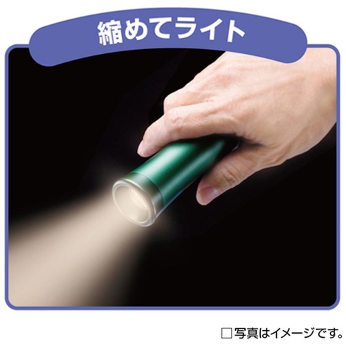 �k�߂ă��C�g