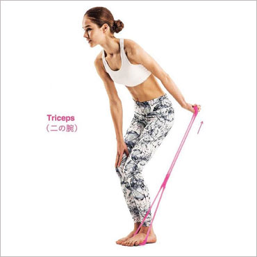 ��̘r�̃V�F�C�v�A�b�v