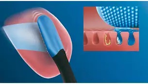 ��̉�����������菜��