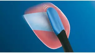 ������ꂢ��