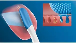 ��̂����镔���ɓ͂��₷��