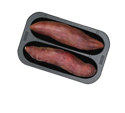 3781999/�Ă������[�J�[/SFW-100BK