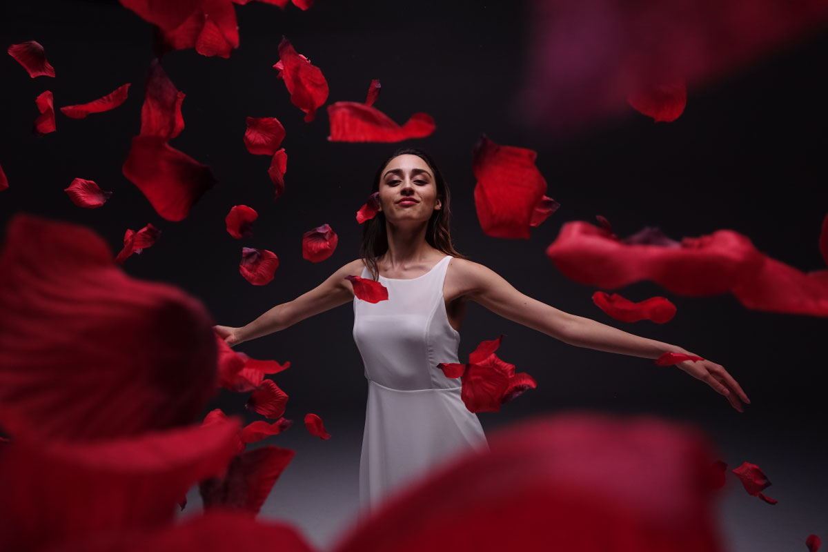 �\�j�[ DSC-RX0_���