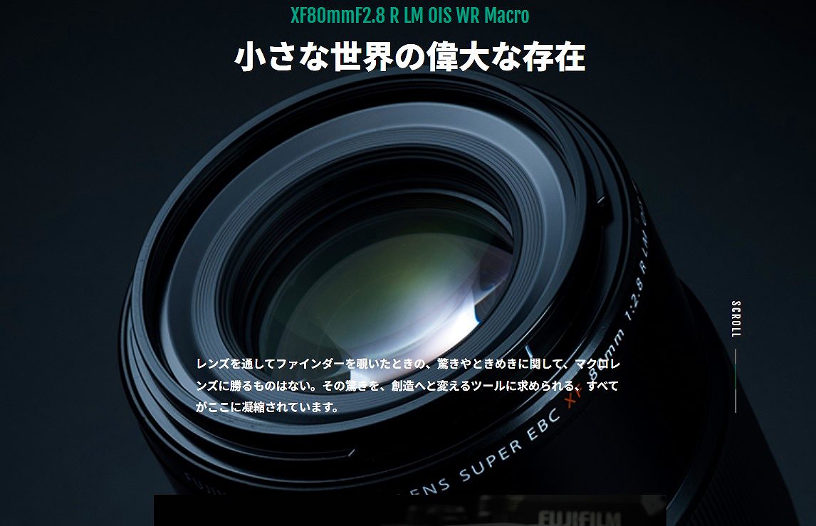 XF80mmF2.8 R LM OIS WR Macro �����Ȑ��E�̈̑�ȑ���