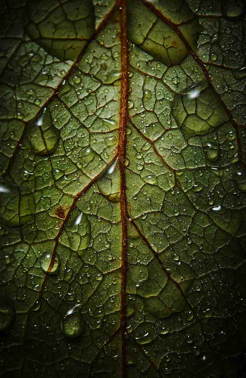 �A�[�g�̂��߂̋���