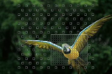 �\�j�[ DSC-RX10_01