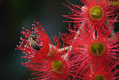 �\�j�[ DSC-RX10_06