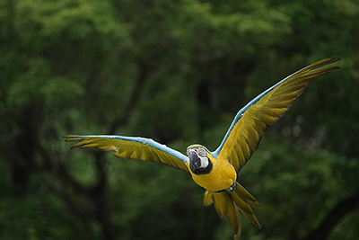 �\�j�[ DSC-RX10_07