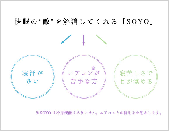 6543317_SOYO�A