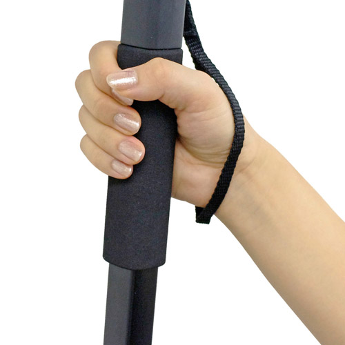 ���A�S���O���b�v�ƃX�g���b�v