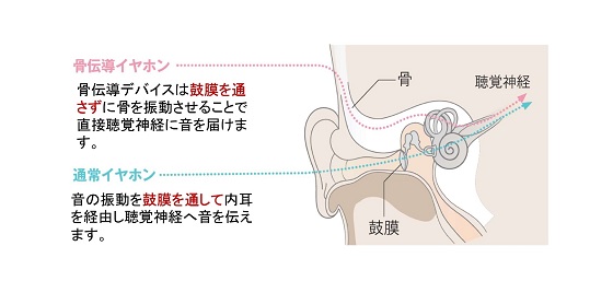 ���`���C���z���̉��̒��������̎d�g��