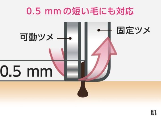 4485986_�E�ъ�5