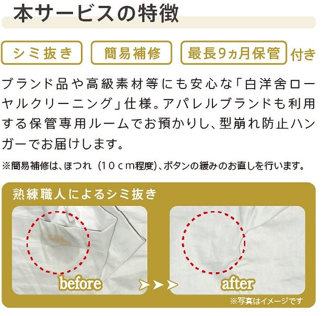 �{�T�[�r�X�̓���