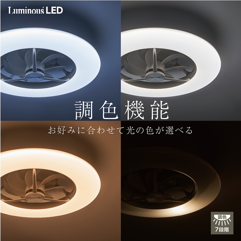 �h�E�V�V���@DOSHISHA  DCC-08CM �V�[�����O�t�@�� Luminous�i���~�i�X�j [�����R���t�� /8�� /���F�`�d���F] �r�b�N�J����