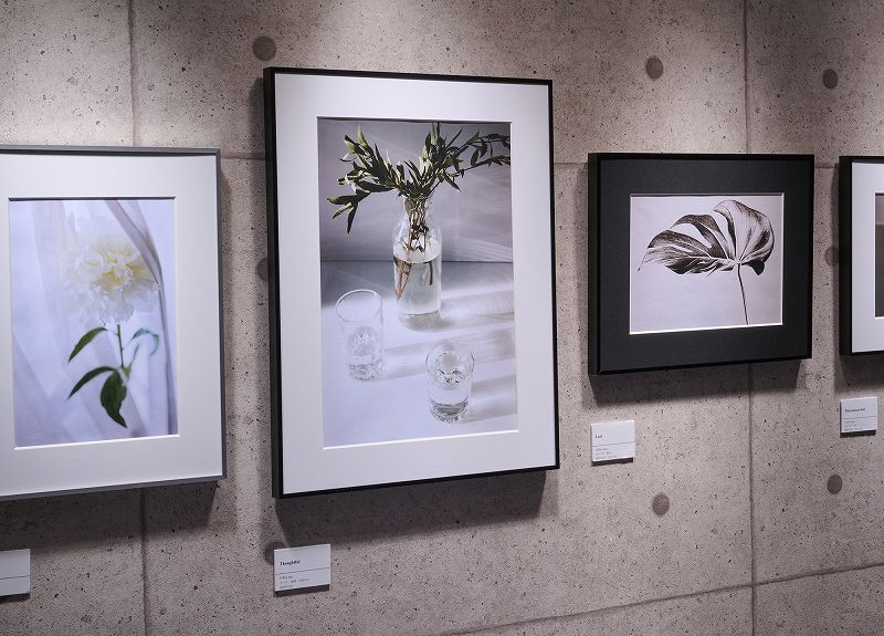 �אg�̃t���[���ƃ��C�h�}�b�g����i��������������W����ɍœK�ȃA���~���z��