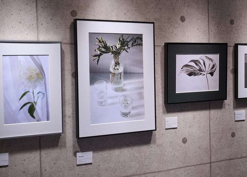 �T�C�Y�Ⴂ�������̎g�p�C���[�W2