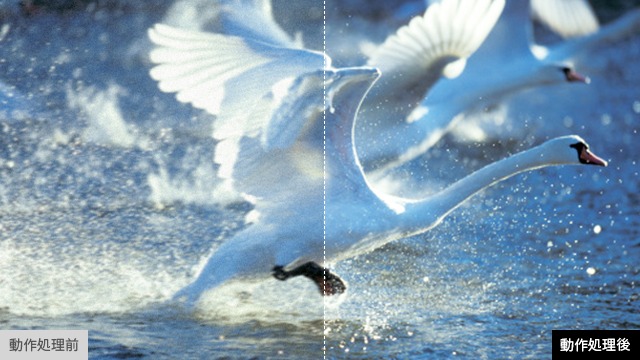 5049443_�t���e���r2