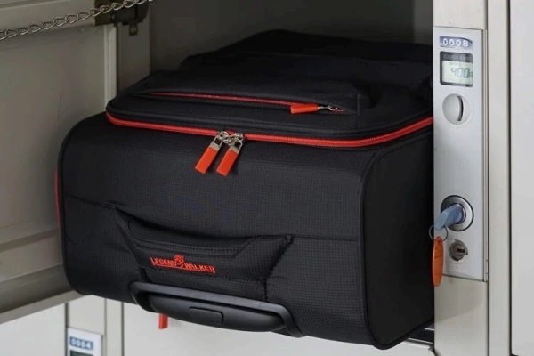 �R�C�����b�J�[���[�Ή��i4043-39�̂݁j