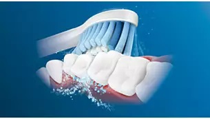 ���g����