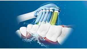 ���g����