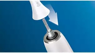 �ȒP�ɂ͂ߍ��݂ł���u���V�w�b�h