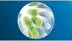 �ѐ悪���Ƀt�B�b�g���A���C��X�e�C��������