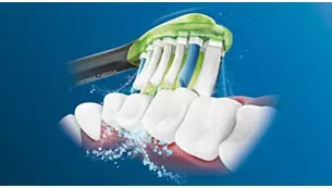 ���g����